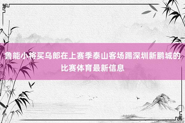鲁能小将买乌郎在上赛季泰山客场踢深圳新鹏城的比赛体育最新信息