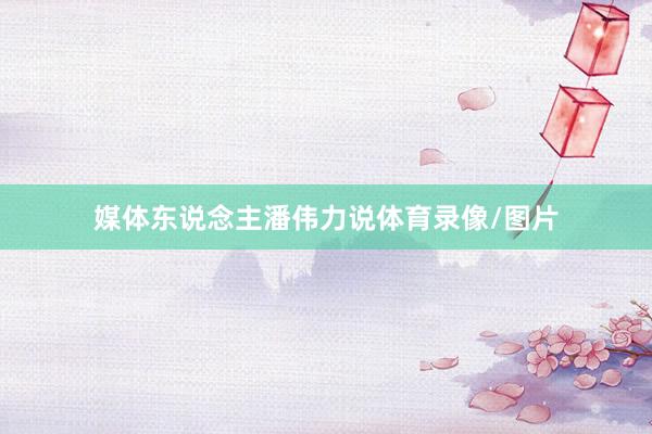 媒体东说念主潘伟力说体育录像/图片