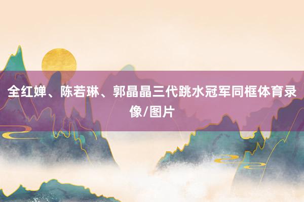 全红婵、陈若琳、郭晶晶三代跳水冠军同框体育录像/图片