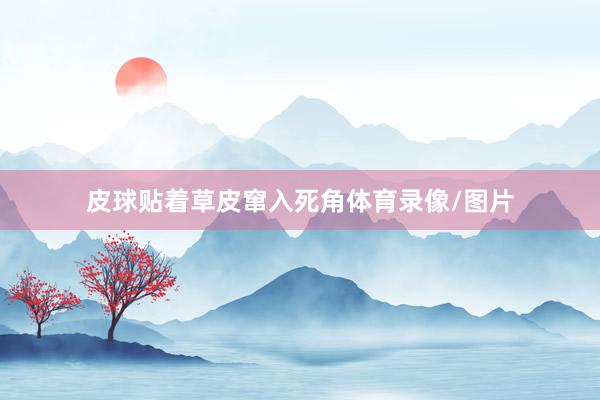 皮球贴着草皮窜入死角体育录像/图片