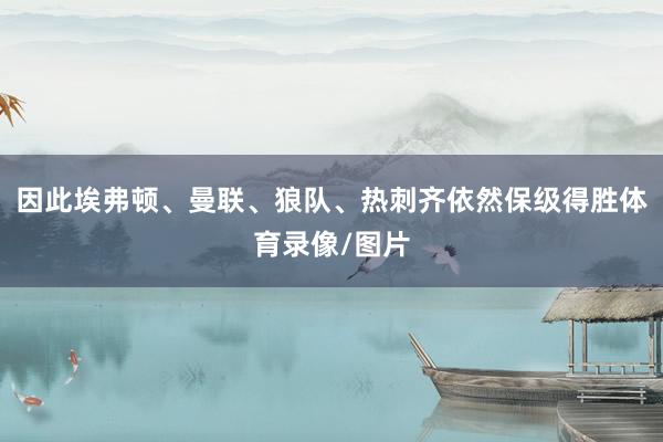 因此埃弗顿、曼联、狼队、热刺齐依然保级得胜体育录像/图片