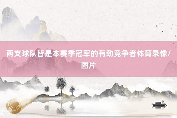 两支球队皆是本赛季冠军的有劲竞争者体育录像/图片