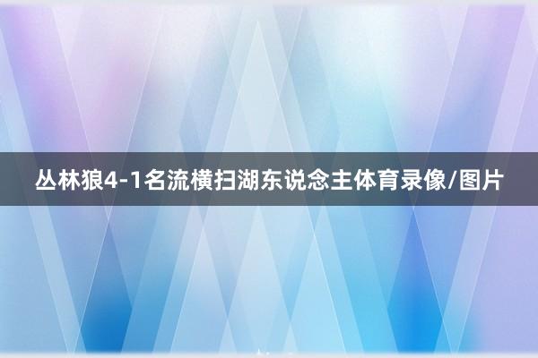 丛林狼4-1名流横扫湖东说念主体育录像/图片