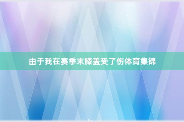 由于我在赛季末膝盖受了伤体育集锦