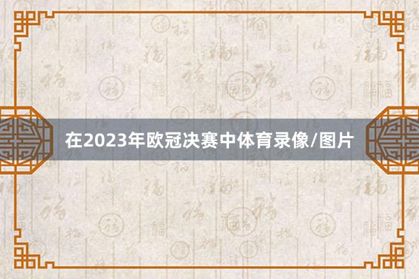 在2023年欧冠决赛中体育录像/图片