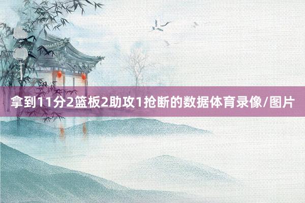 拿到11分2篮板2助攻1抢断的数据体育录像/图片