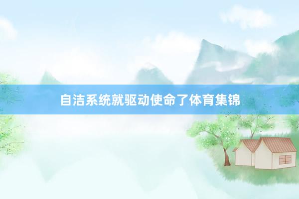 自洁系统就驱动使命了体育集锦