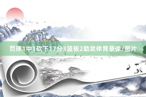 罚球1中1砍下17分3篮板2助攻体育录像/图片