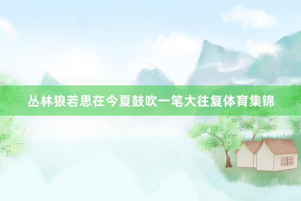 丛林狼若思在今夏鼓吹一笔大往复体育集锦