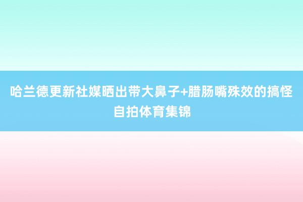 哈兰德更新社媒晒出带大鼻子+腊肠嘴殊效的搞怪自拍体育集锦