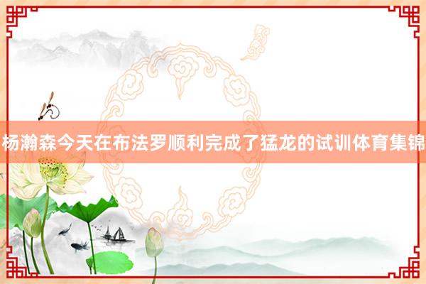 杨瀚森今天在布法罗顺利完成了猛龙的试训体育集锦