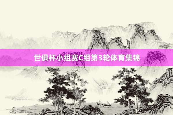 世俱杯小组赛C组第3轮体育集锦