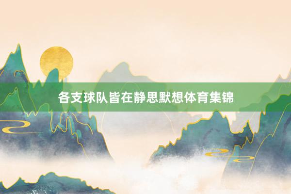 各支球队皆在静思默想体育集锦