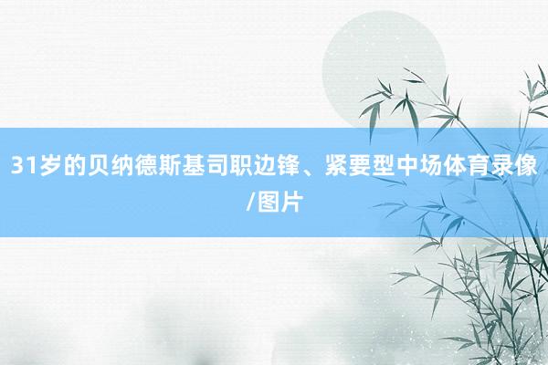 31岁的贝纳德斯基司职边锋、紧要型中场体育录像/图片