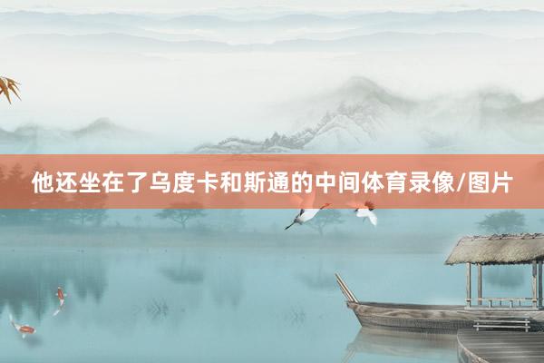 他还坐在了乌度卡和斯通的中间体育录像/图片