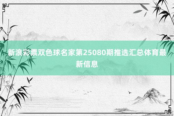 新浪彩票双色球名家第25080期推选汇总体育最新信息
