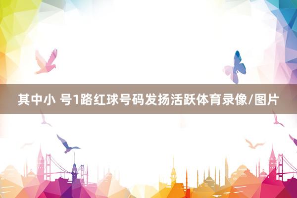 其中小 号1路红球号码发扬活跃体育录像/图片