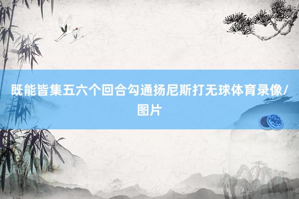 既能皆集五六个回合勾通扬尼斯打无球体育录像/图片