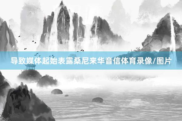 导致媒体起始表露桑尼来华音信体育录像/图片