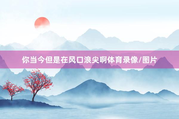 你当今但是在风口浪尖啊体育录像/图片