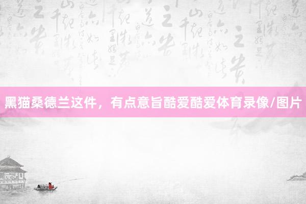 黑猫桑德兰这件，有点意旨酷爱酷爱体育录像/图片