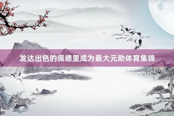 发达出色的佩德里成为最大元勋体育集锦