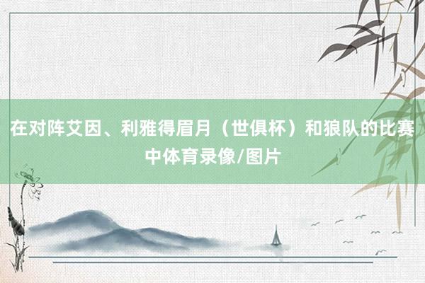 在对阵艾因、利雅得眉月（世俱杯）和狼队的比赛中体育录像/图片