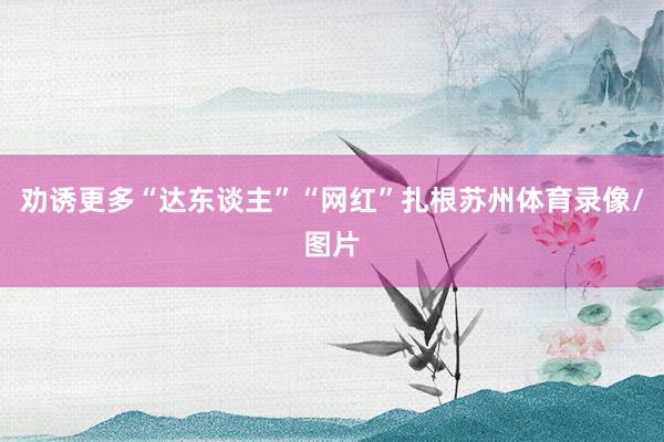 劝诱更多“达东谈主”“网红”扎根苏州体育录像/图片