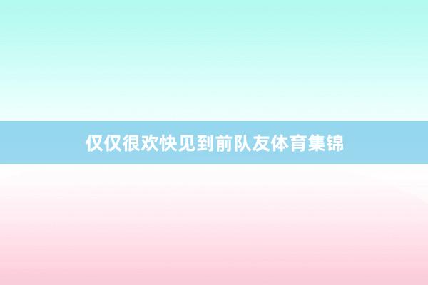 仅仅很欢快见到前队友体育集锦