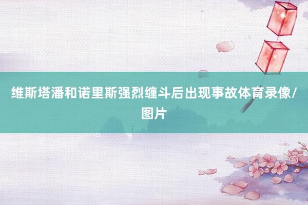 维斯塔潘和诺里斯强烈缠斗后出现事故体育录像/图片