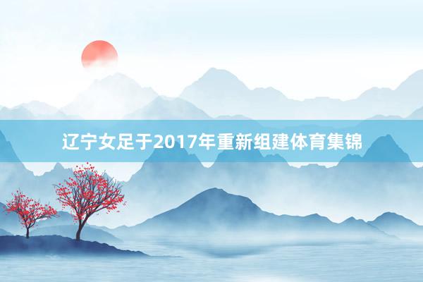 辽宁女足于2017年重新组建体育集锦