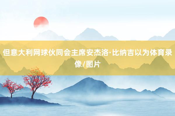 但意大利网球伙同会主席安杰洛·比纳吉以为体育录像/图片