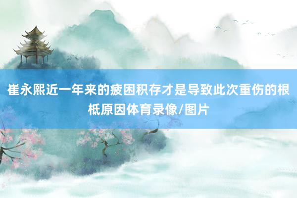 崔永熙近一年来的疲困积存才是导致此次重伤的根柢原因体育录像/图片