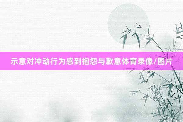 示意对冲动行为感到抱怨与歉意体育录像/图片