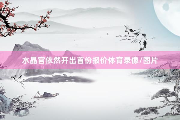 水晶宫依然开出首份报价体育录像/图片