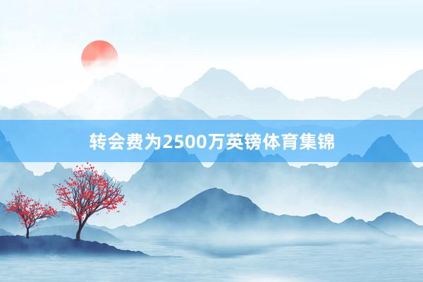 转会费为2500万英镑体育集锦