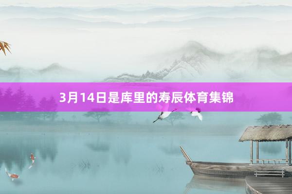 3月14日是库里的寿辰体育集锦