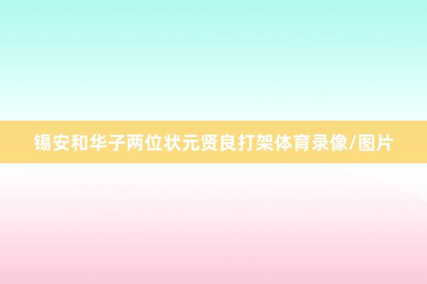 锡安和华子两位状元贤良打架体育录像/图片