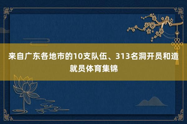 来自广东各地市的10支队伍、313名洞开员和造就员体育集锦