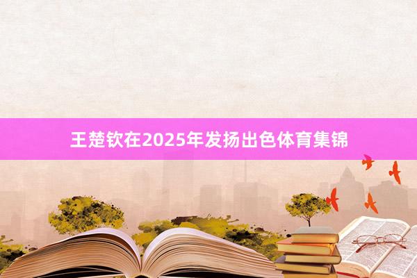 王楚钦在2025年发扬出色体育集锦