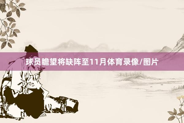 球员瞻望将缺阵至11月体育录像/图片
