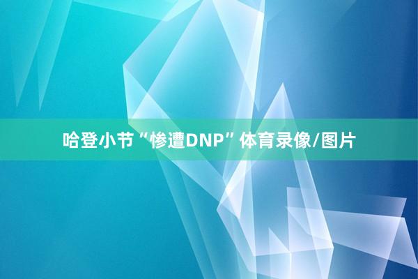 哈登小节“惨遭DNP”体育录像/图片