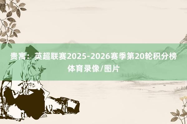 贵寓：英超联赛2025-2026赛季第20轮积分榜体育录像/图片