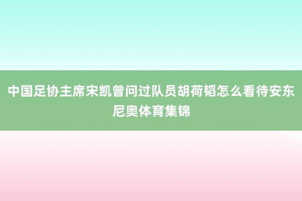 中国足协主席宋凯曾问过队员胡荷韬怎么看待安东尼奥体育集锦