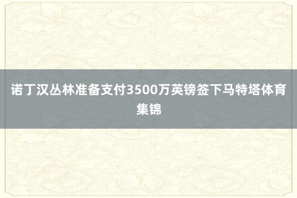 诺丁汉丛林准备支付3500万英镑签下马特塔体育集锦