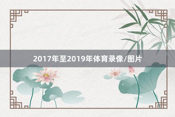 2017年至2019年体育录像/图片