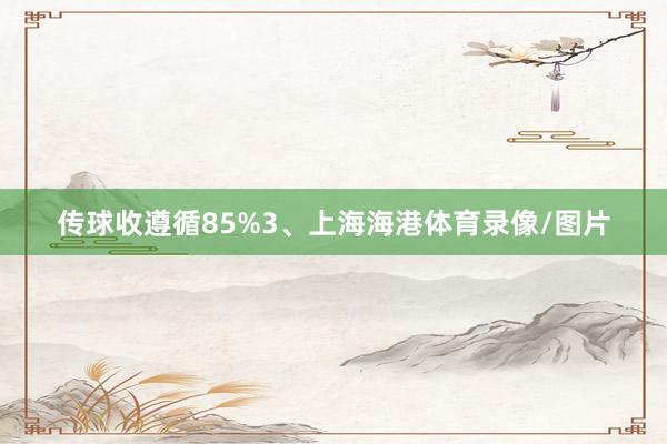 传球收遵循85%3、上海海港体育录像/图片