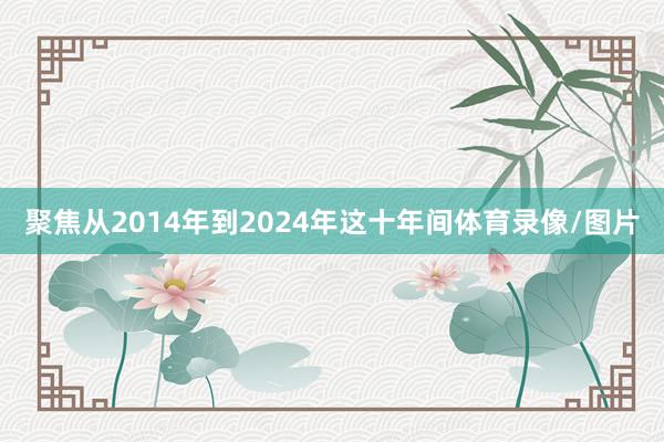 聚焦从2014年到2024年这十年间体育录像/图片