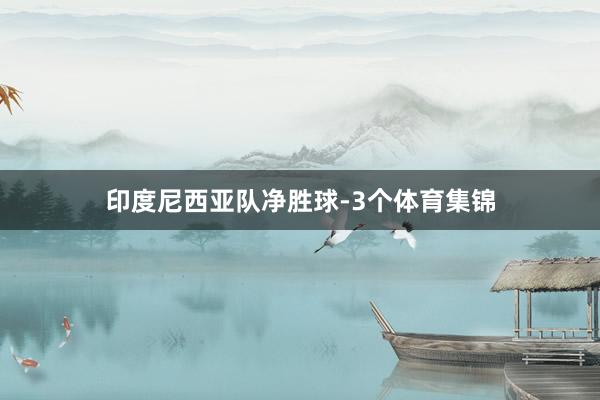 印度尼西亚队净胜球-3个体育集锦